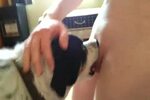 Guy licking dog pussy 💖 Собака Делает Куни Вылизывает Жопу И